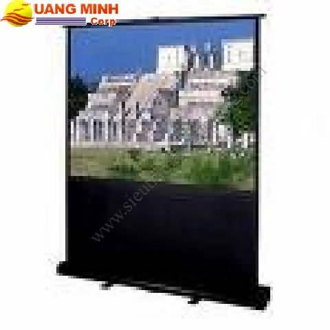 Màn chiếu để sàn Pole Dalite 48x36 inchs
